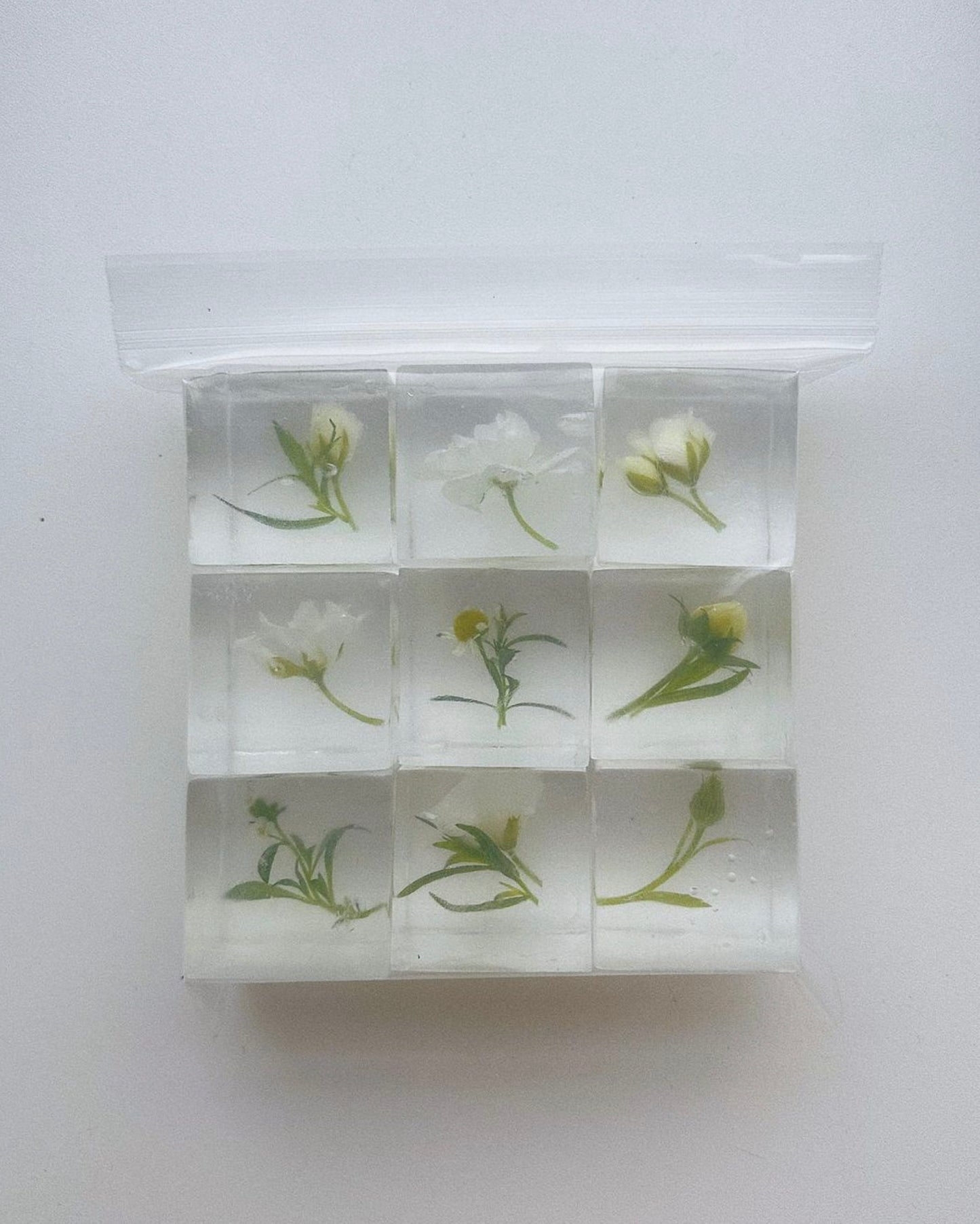 Botanical Cubes - White & Green Mix