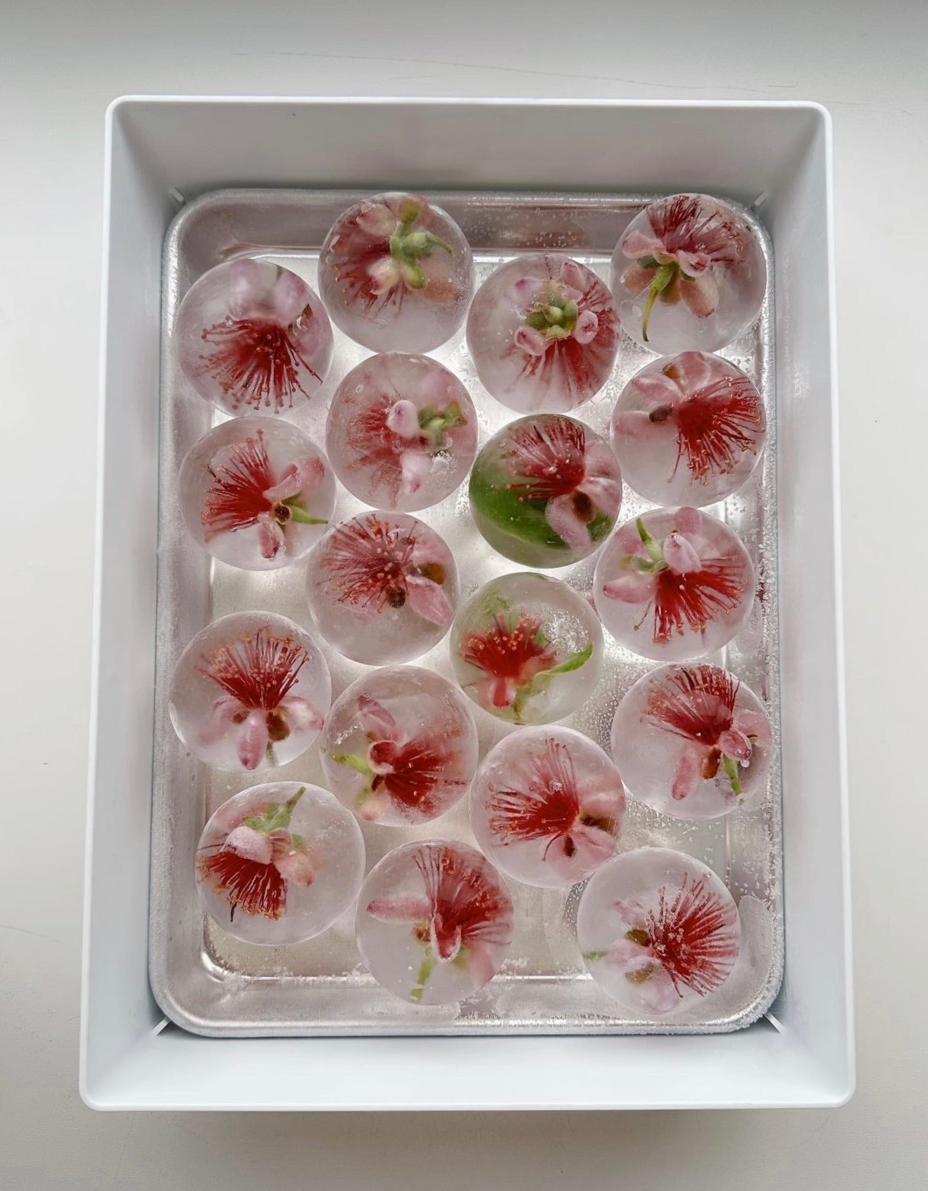 Seasonal Spheres - Pineapple Guava Blossom