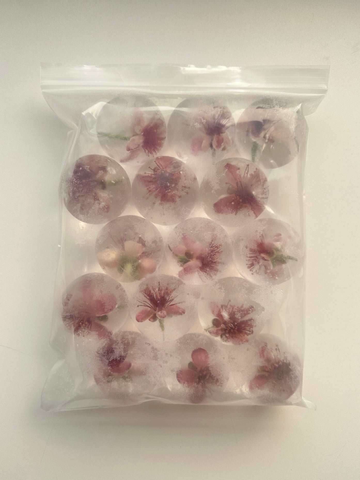 Seasonal Spheres - Pineapple Guava Blossom
