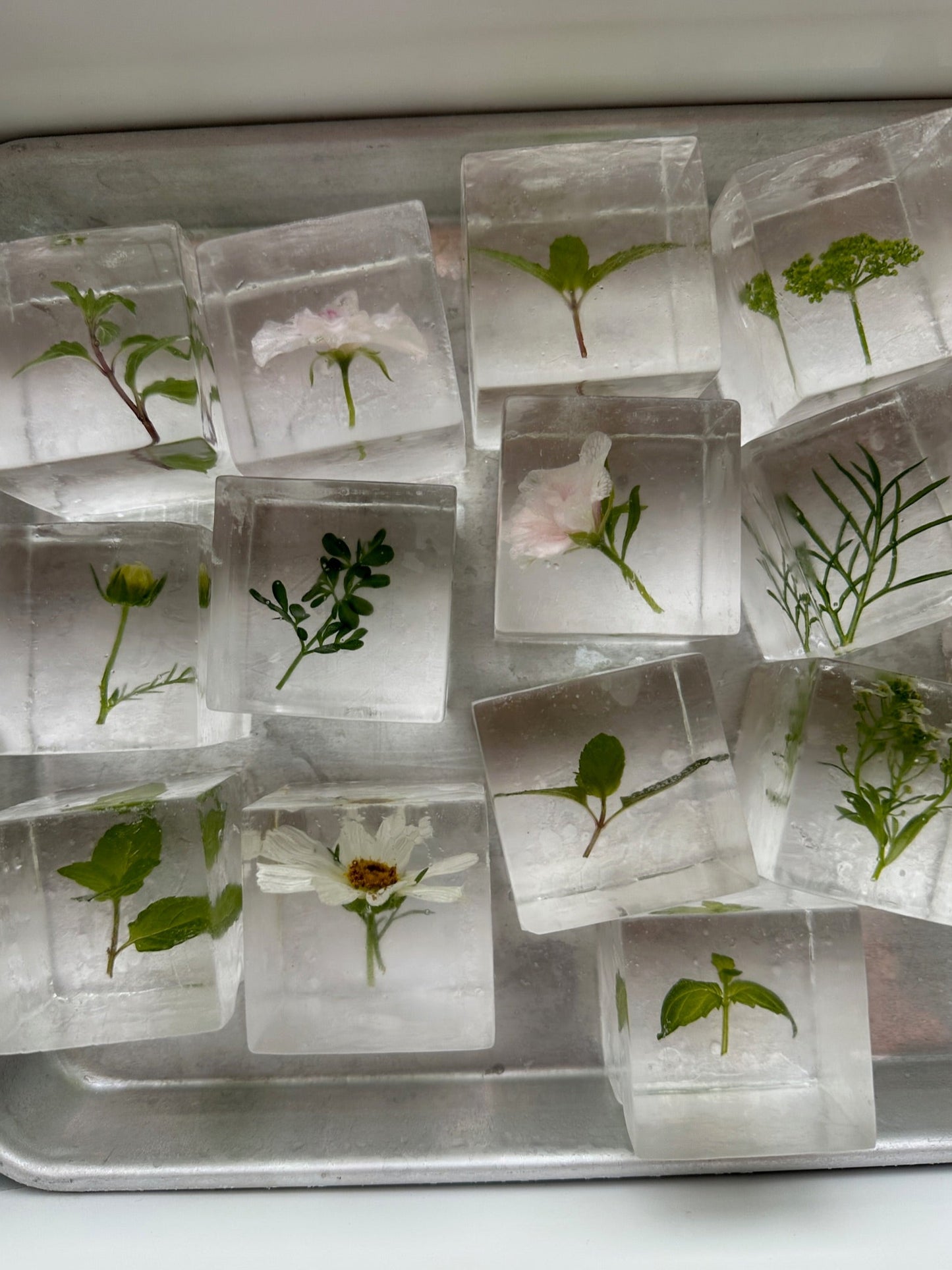 Botanical Cubes - White & Green Mix