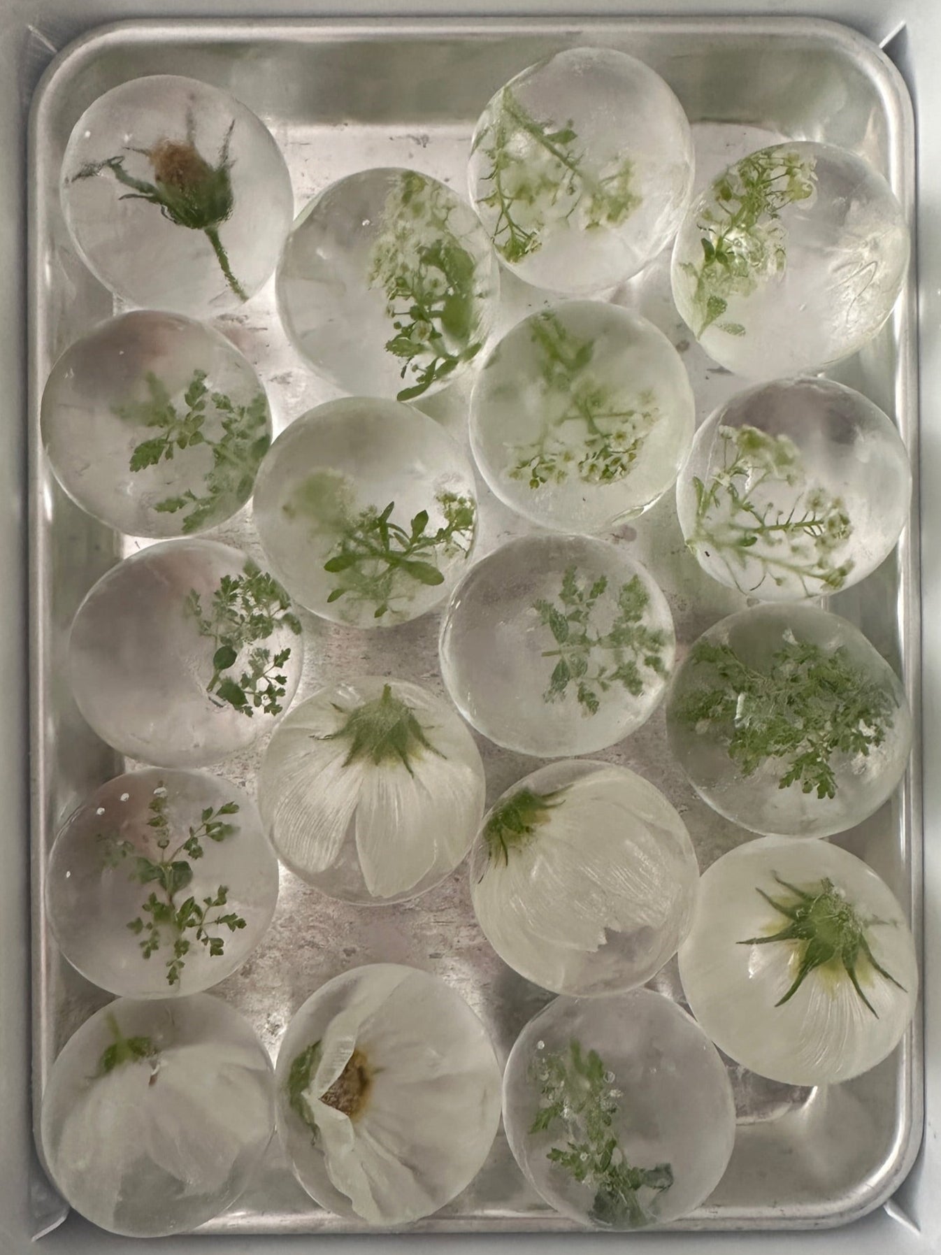 Botanical Spheres - White & Green Mix