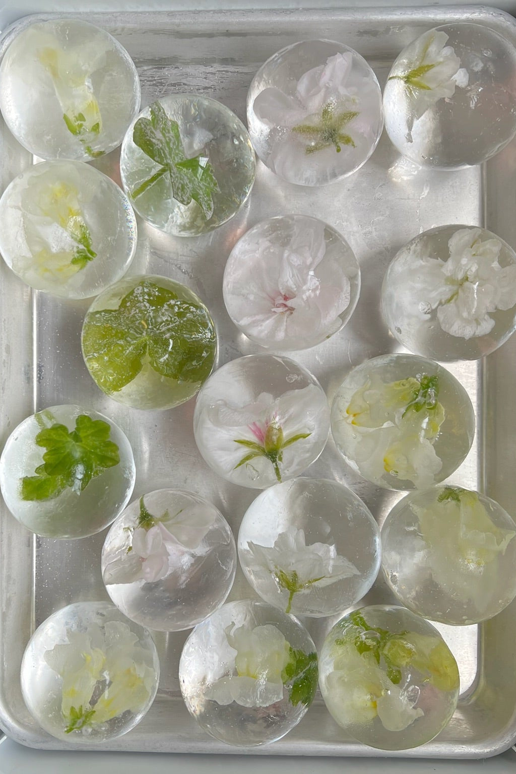 Botanical Spheres - White & Green Mix
