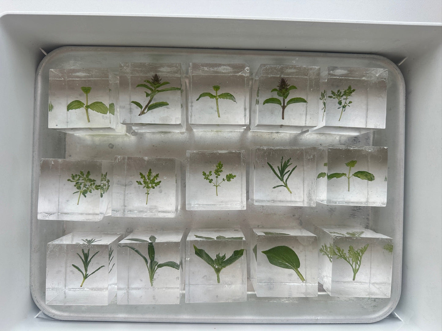 Botanical Cubes - White & Green Mix