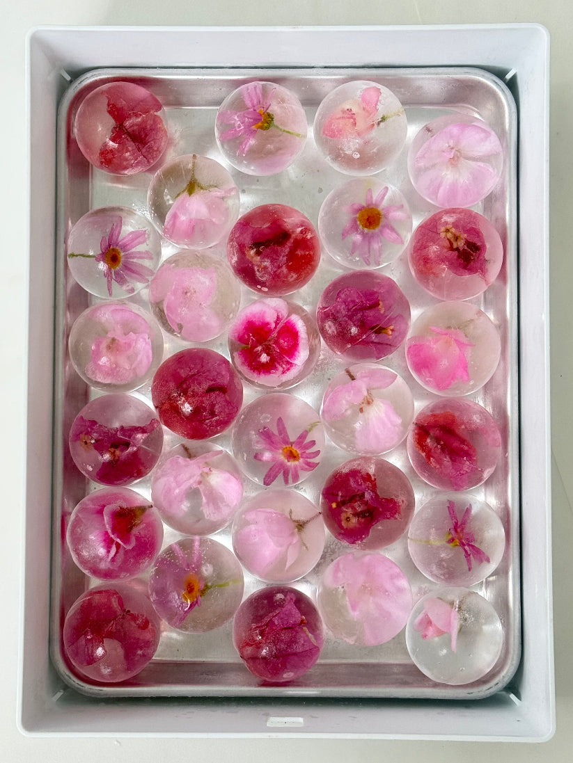 Pink Botanical Spheres - Set of 15