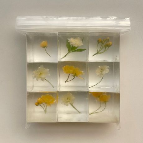 Seasonal Cubes - Lady Banks Roses