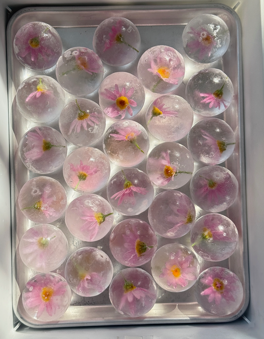 Seasonal Medium Spheres - Pink African Daisies